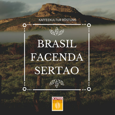 Brasil Dolce Cerrado, Familie Andrade